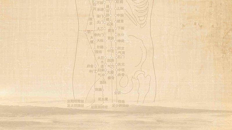 中药调理定制适合哪些人群